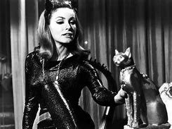 Image result for Tina Louise Catwoman