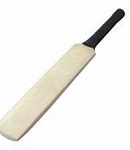 Image result for Cricket Transparent