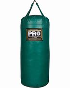 Image result for 200 Lb Heavy Bag