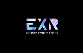 Image result for EXR Brand