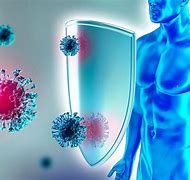 Image result for How Does Immune System Work
