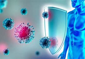 Image result for Human Immune System