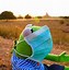 Image result for Feeling Meme Kermit