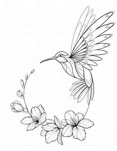 8 idées de Dessin de colibri | dessin de colibri, colibri, dessin