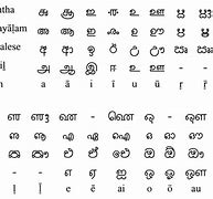 Image result for Tamil Basic Alphabets