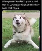 Image result for Dog Meme Original