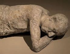 Image result for Pompeii Dog Skeleton
