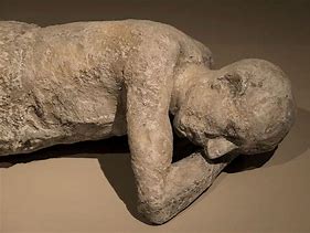Image result for Pompeii Animal Bodies Kids
