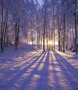 Image result for Free Winter Scenes Jpg