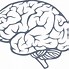 Image result for Super Brain Icon