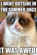 Image result for Finally Summer Meme