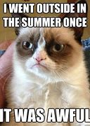 Image result for Hot Summer Humor