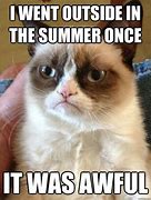 Image result for Meme Warm Summer
