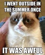 Image result for Best Summer Ever Meme