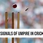 Image result for Umpire Out Signal