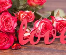 Image result for Beautiful Pink Roses Love Flowers