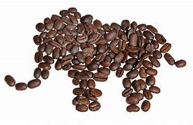 Image result for Black Ivory Coffee