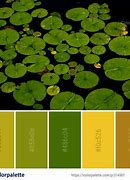 Image result for Color Combination for Green Background