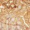 Image result for Marble Onyx Dragon