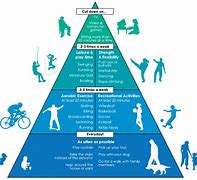 Image result for Physical Activity Pyramid