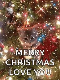 Image result for Merry Christmas and Happy New Year Meme