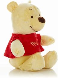 Image result for Disney Baby Winnie the Pooh