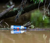 Image result for Pepsi Pollution