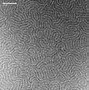 Image result for Cholesteric Liquid Crystal