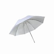 Image result for Silver Umbrella Lightning