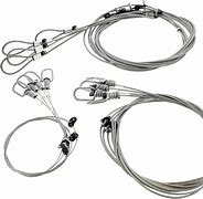 Image result for Snare Wire for Trapping