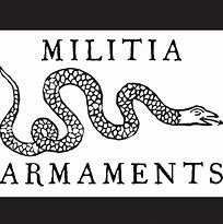 Image result for Arizona Militia
