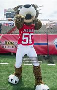 Image result for South Alabama Southpaw