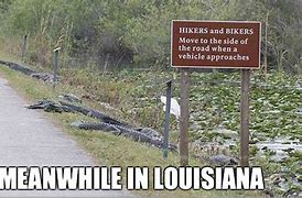 Image result for New Orleans Humor Memes
