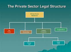 Image result for Domestic Corporation Structure