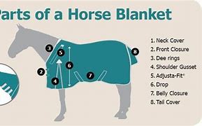 Image result for Horse Blanket Bar