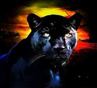 Image result for Black Panther Wallpaper Aesthetic