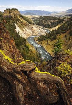 Yellowstone Stop | Had a fantastic motorbike trip with some … | Flickr