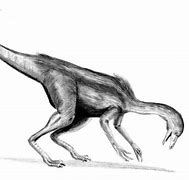 Image result for Dromiceiomimus