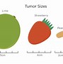 Image result for How Big Is 2 Cm Tumor
