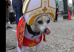 Image result for Pope Hot Dog