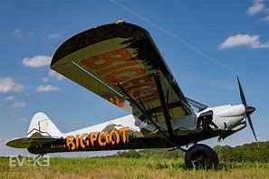 Image result for Line Art Carbon Cub