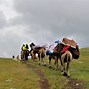 Image result for Mongolia
