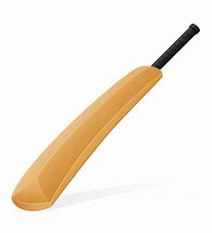 Image result for Cricket Bat Icon