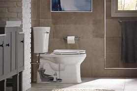 Image result for Kohler Toilet Flushing