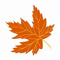 Image result for Maple Leaf Vector Art
