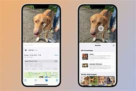 Image result for iPhone How to Find Info About Phto