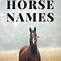 Image result for Beautiful Horse Names