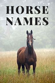 Image result for Aesthetic Horse Names