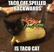 Image result for Pizza Taco Meme