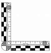 Image result for 12-Inch Ruler Template